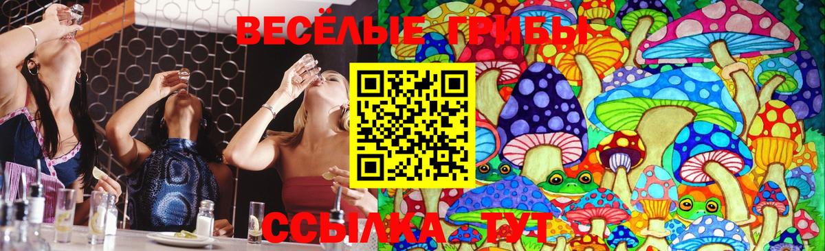 Галлюциногенные грибы мицелий  сколько стоит  Вход с VPN  Дербент  Галлюциногенные грибы Psilocybine cubensis 